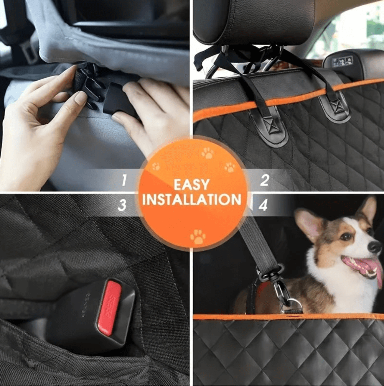 PawTraveler™