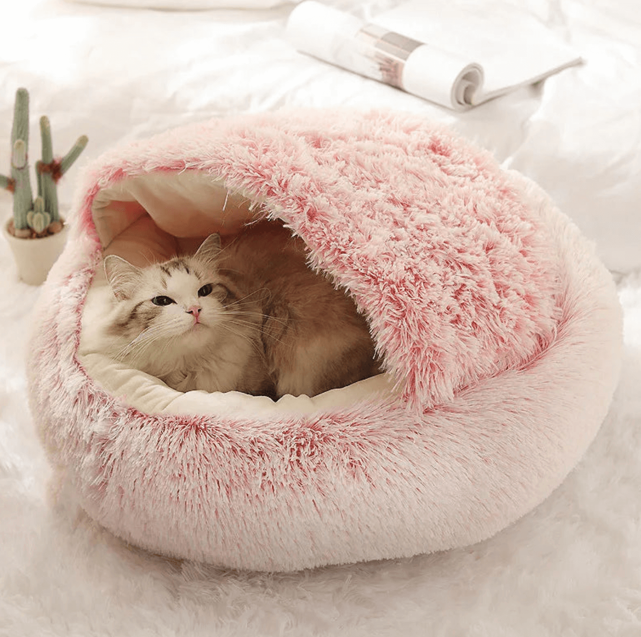 CozyShell™