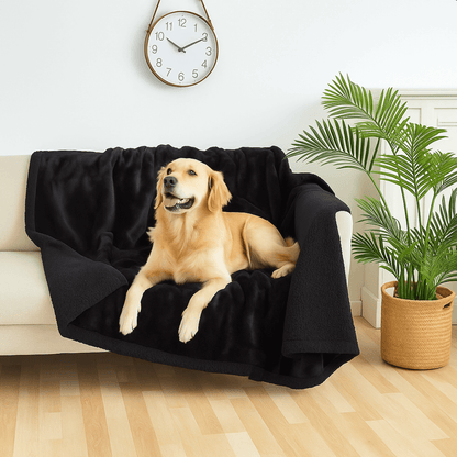 FurHaven™
